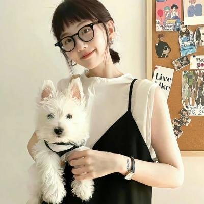 舞动全城粤语