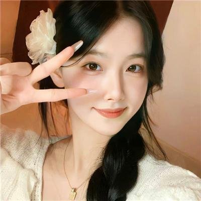 玩具熊的五夜后宫